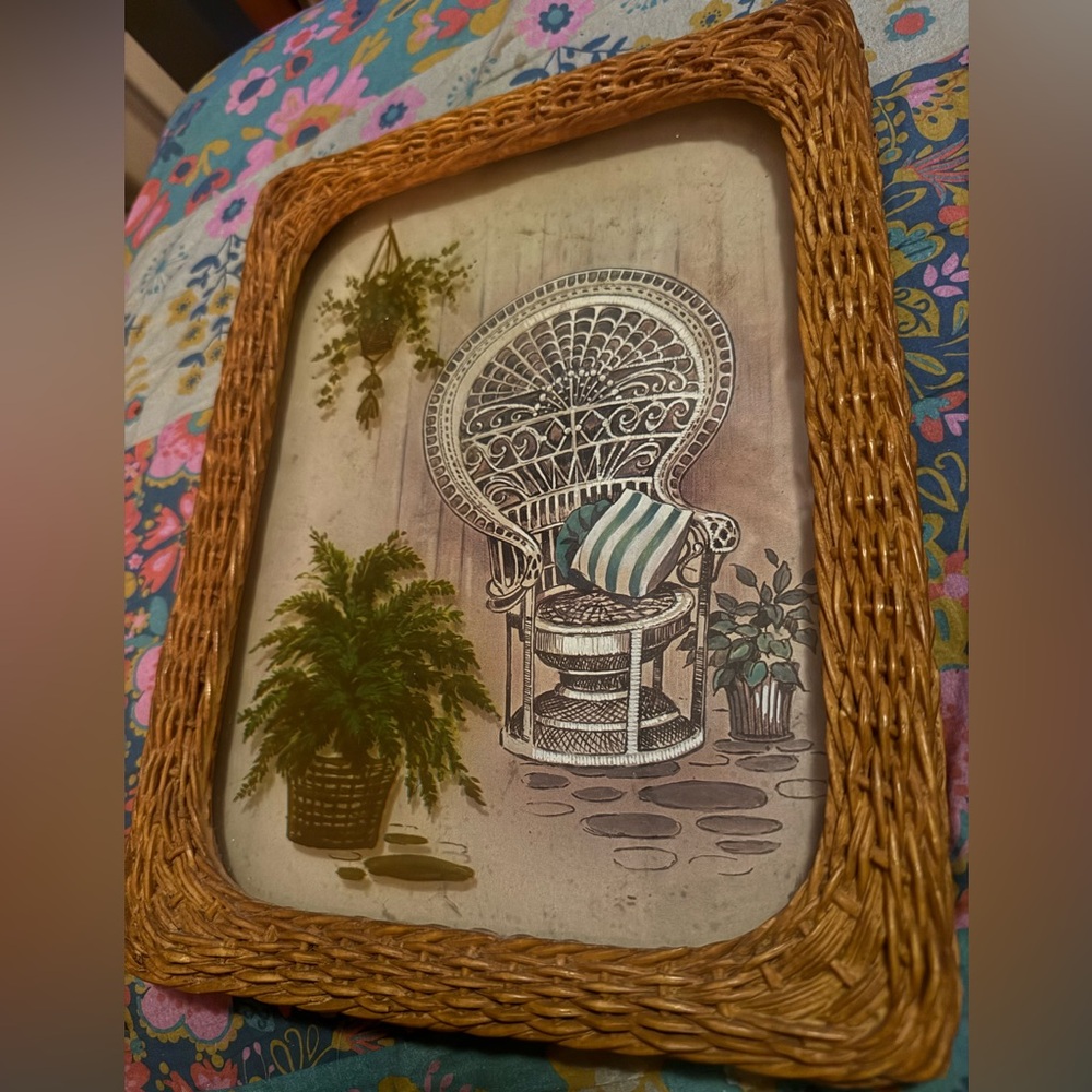 Wicker Framed Chair Art with Plants